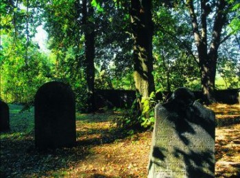 Hoješín - pozůstatek židovského hřbitova. 