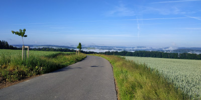 Bicycle path Letohrad - Šedivec. 