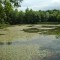 Ratajské rybníky - natural sight