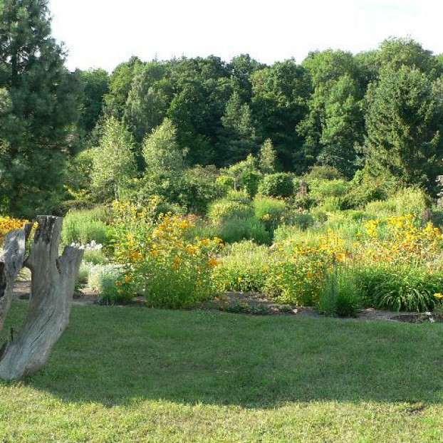 Borotín - arboretum