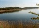 Bohdanečský Lakes - nature preserve