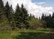 Malý Javorník - nature preserve