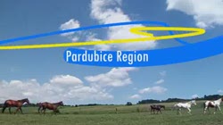 The Pardubice Region - A region of noble traditions